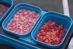 Drennan DMS 1 Pint Modular Bait Box 6 Drennan DMS 1 Pint Modular Bait Box -Drennan 1606418736