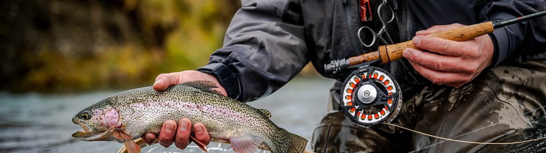 Drennan -Drennan jhjh